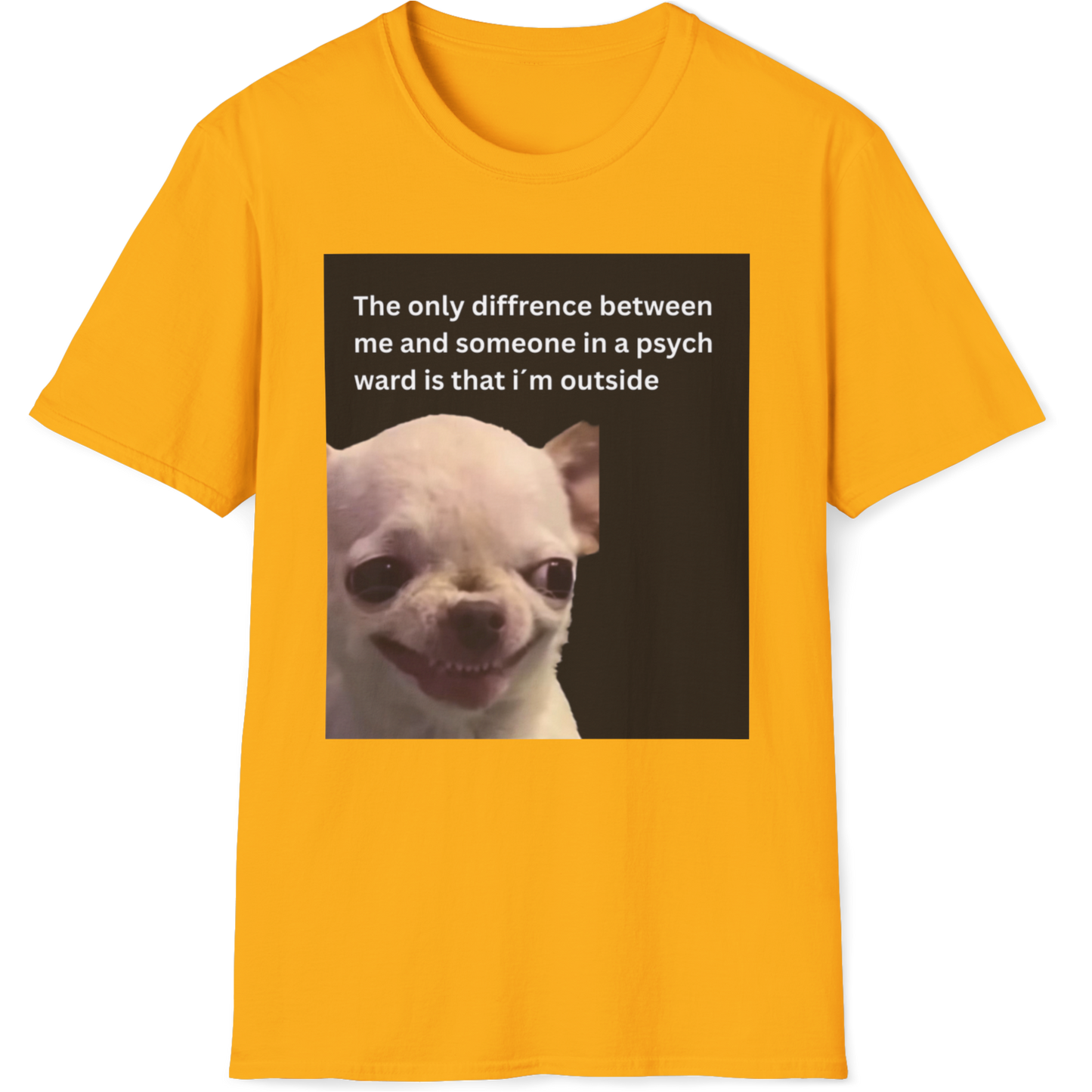 The only difference between me and someone in a psych ward is that i´m outside EvilDog T-shirt
