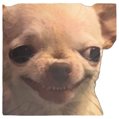 Evil-Dog Plush Pillow Case (Limited pcs)