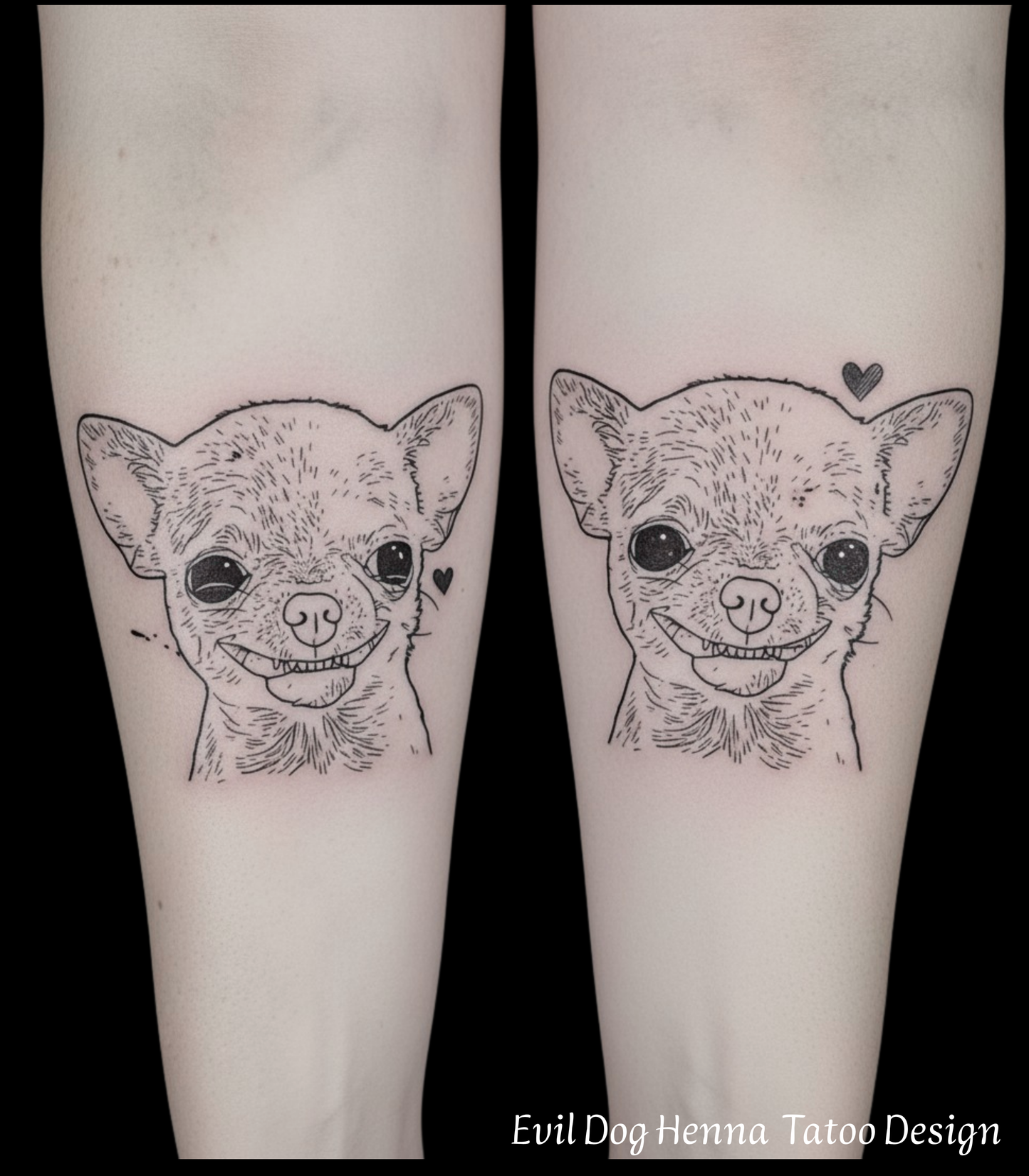 Evil-Dog design Concept PDF (15 Designs )🔥